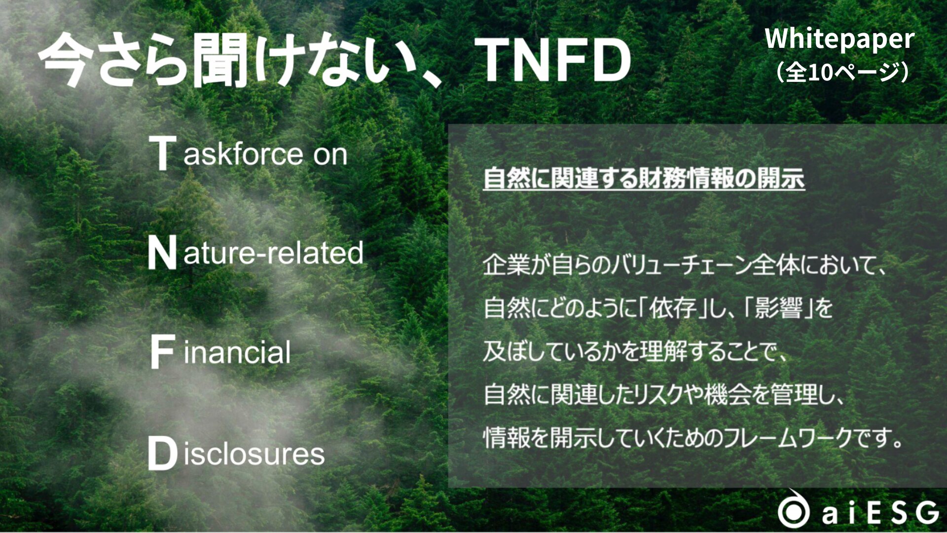 今さら聞けないTNFD資料ダウンロード_01